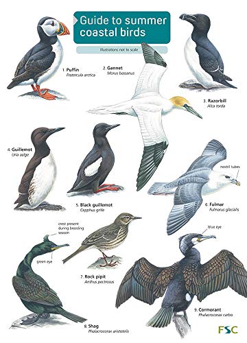 Guide cover featuring illustrations of seven coastal bird species.