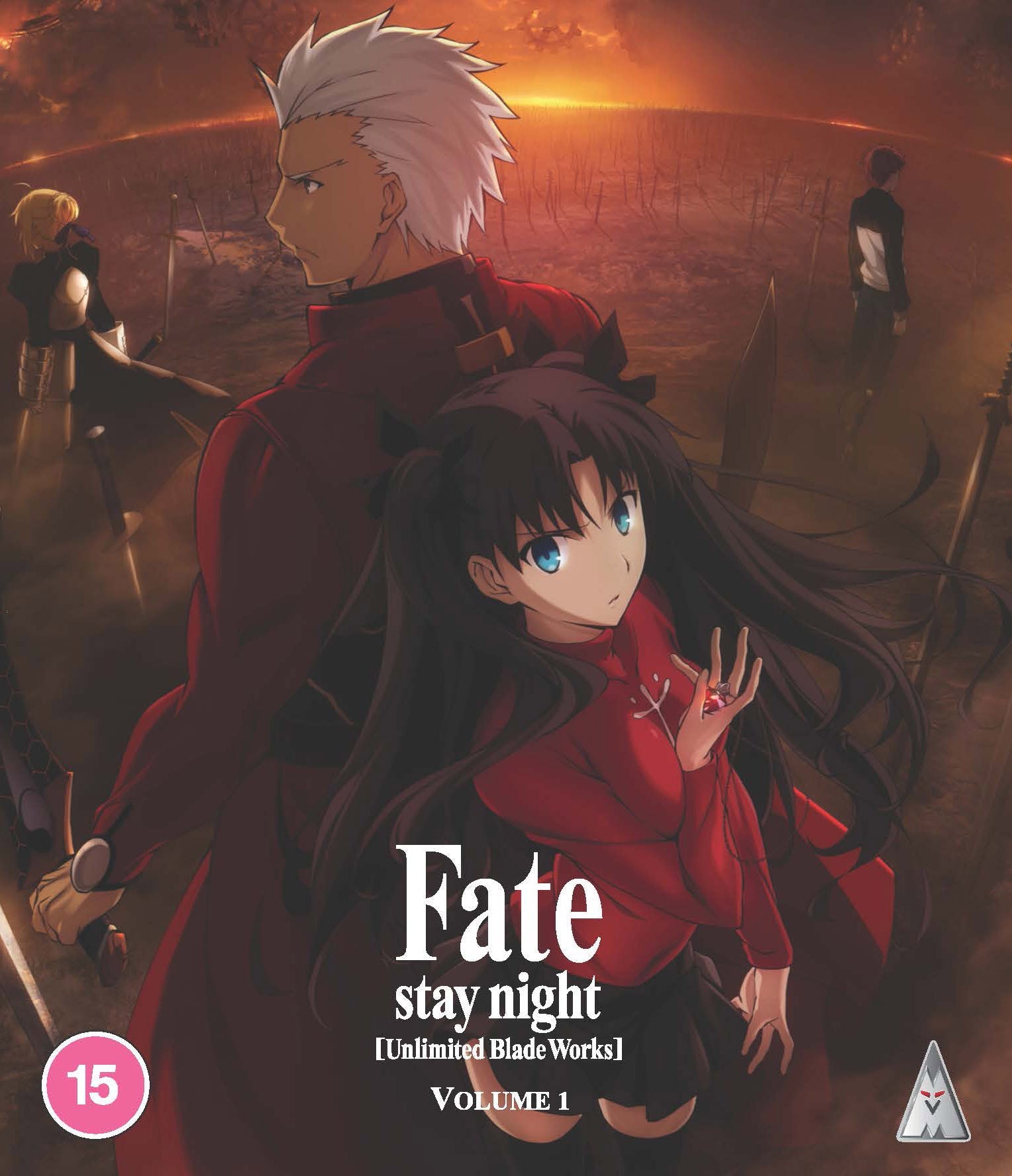 Anime characters Archer and Rin Tohsaka stand before a field of swords at sunset.