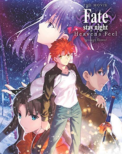 Anime characters stand against a snowy background on the Fate stay night movie cover.