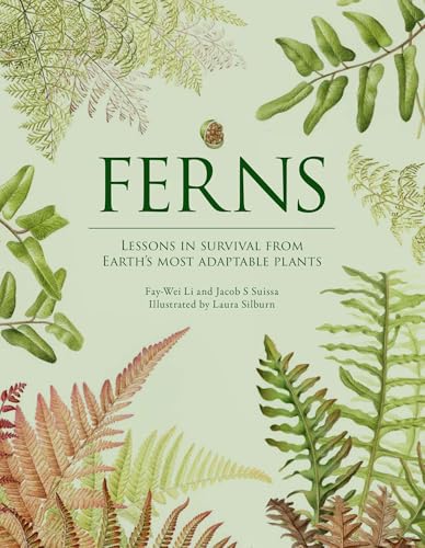 Book cover featuring illustrated ferns and the title "Ferns".