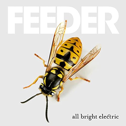 CD cover for Feeder’s “All Bright Electric” featuring a wasp.