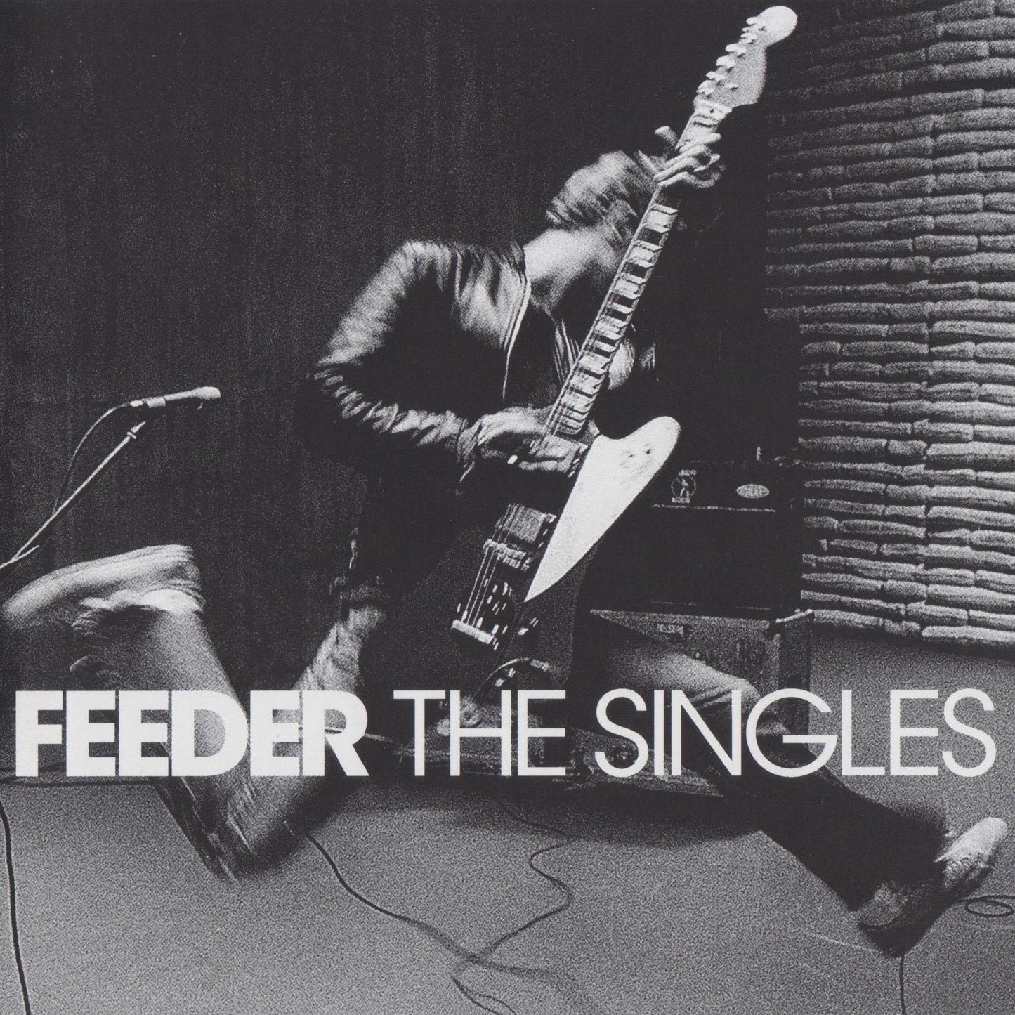 Black and white image of a guitarist performing with “Feeder The Singles” text.