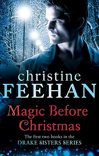 Book cover featuring a man in a snowy, illuminated park with text overlay.