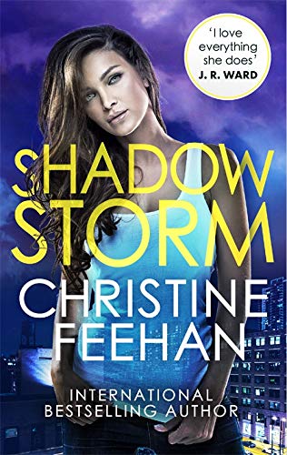 Book cover: woman’s face with stormy, colorful background and title “Shadow Storm”.