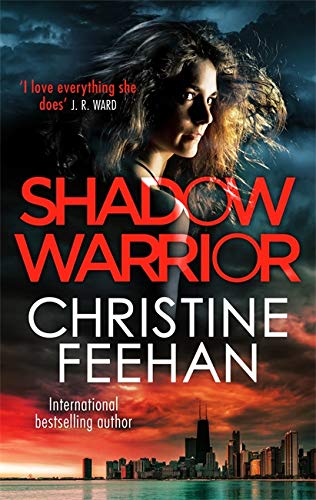 Book cover: woman’s face, dramatic sky, city skyline, red title “Shadow Warrior.”
