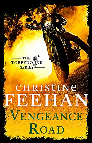 Book cover: motorcycle rider with a skull-like mask, fiery background.