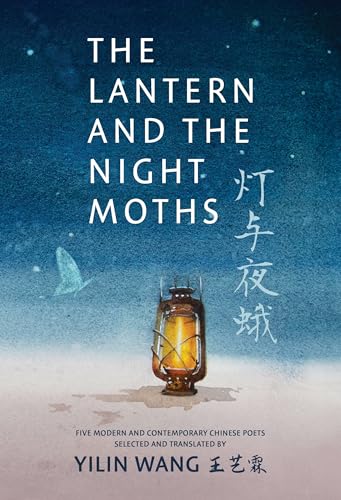 Book cover: lantern glowing in a dark, starry, misty landscape.