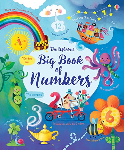 Cover of The Usborne Big Book of Numbers featuring colorful illustrations of various objects.