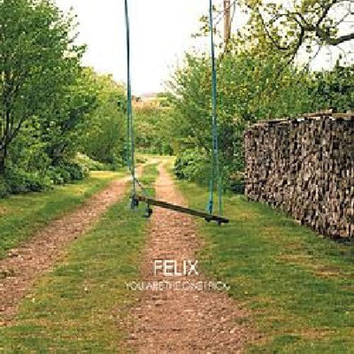 "Album cover with a swing on a dirt path and woodpile."