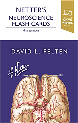 Netter’s Neuroscience Flash Cards cover with brain illustration and text.