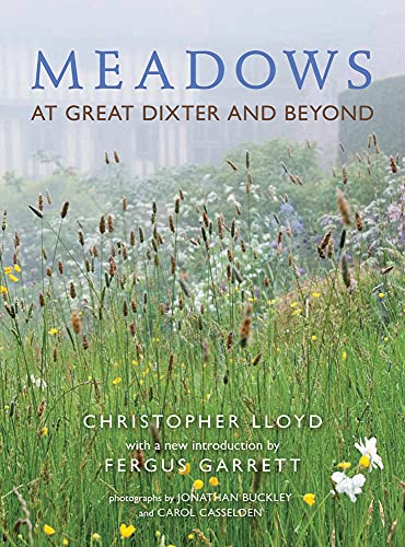 Book cover with a misty meadow scene and floral details.
