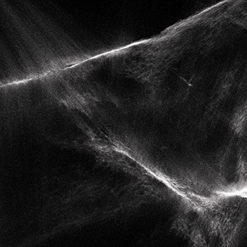 Abstract black and white textured image, possibly representing sound waves.