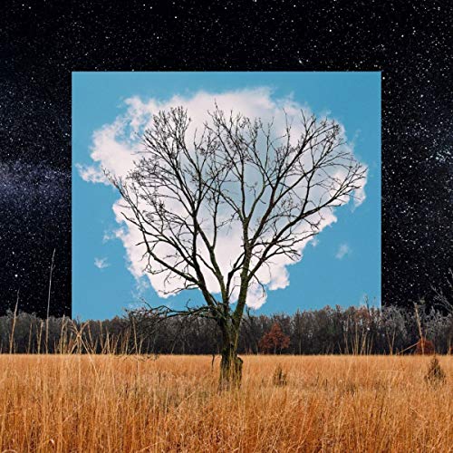 A bare tree stands in a field against a square blue sky and starry background.