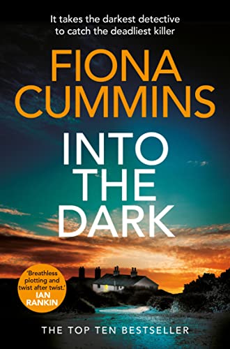 Book cover: "Into the Dark" by Fiona Cummins, with a stormy landscape.