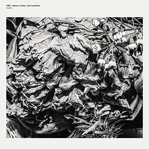 Black and white album cover featuring dried flowers and foliage.