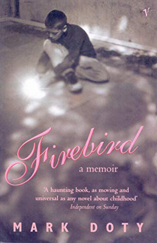 Book cover: "Firebird" memoir with a blurred image of a young boy.