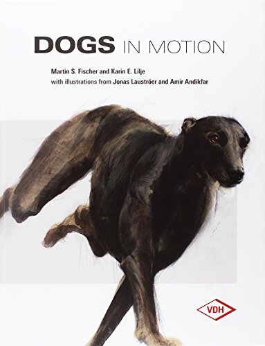 Photograph of dogs running or in motion, likely on a plain background or outdoors.