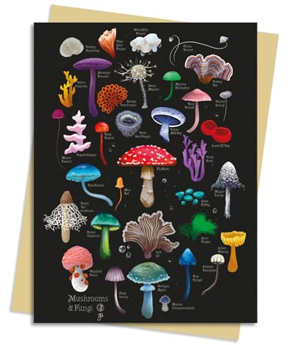 Detailed illustration of various colorful mushrooms and fungi on black background.