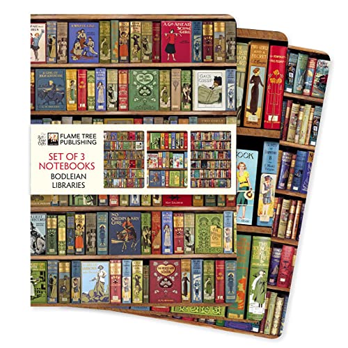 Three notebooks with a bookshelf design featuring vintage book covers.