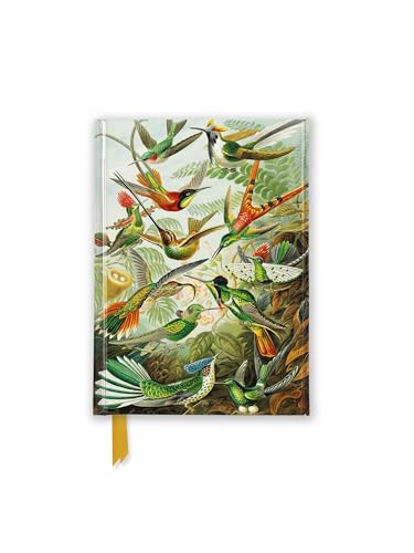 A journal cover featuring a detailed illustration of many colorful hummingbirds amidst lush foliage.