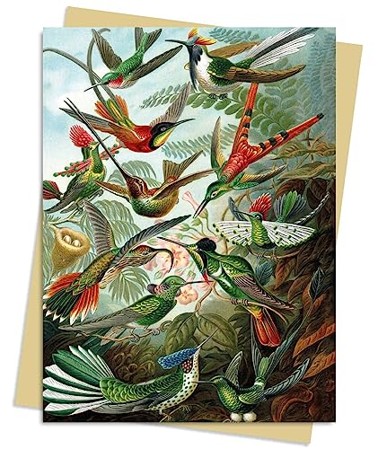 Vintage illustration of multiple colorful hummingbirds among foliage.