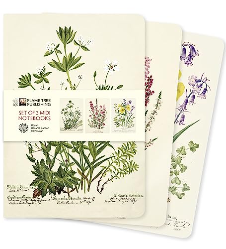 Three midi notebooks with vintage botanical illustrations, bound together by a paper band.