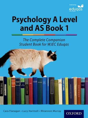 A Siamese cat walks across a row of colorful books on a blue background.