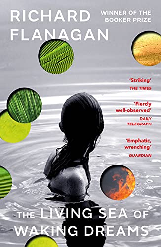 Book cover: woman in water with abstract green and fiery circles.