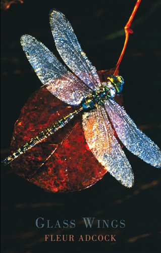 Close-up of a dragonfly with shimmering wings resting on a red leaf.