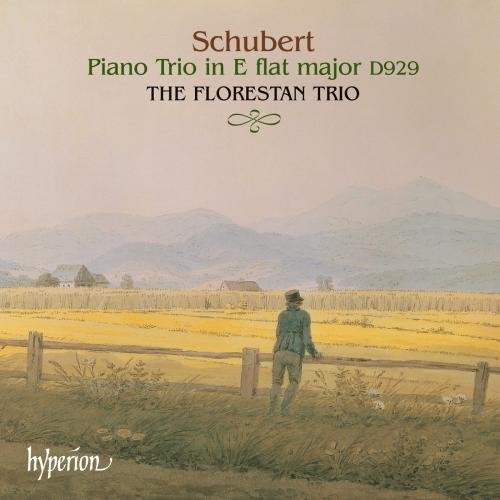 A man stands alone in a field, gazing at distant mountains on a CD cover.
