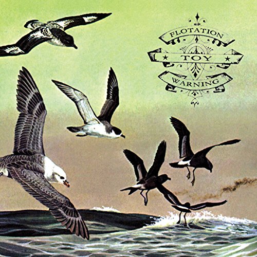 "Album cover with seagulls flying over water, 'Flotation Toy Warning' logo in the top right."