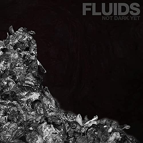 Fluids “Not Dark Yet” CD cover: grayscale collage of fragmented figures.