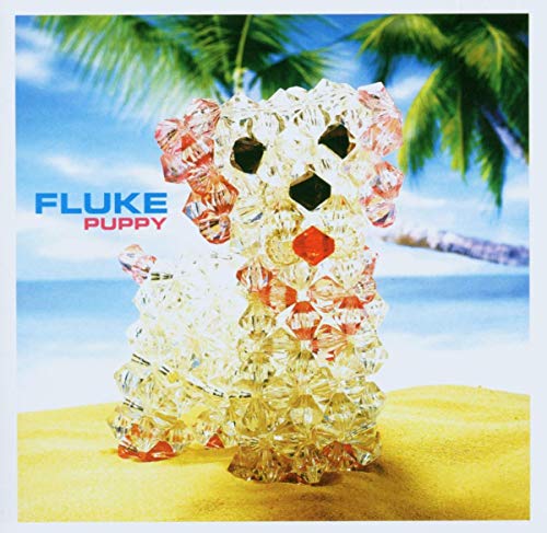 CD cover for Fluke’s “Puppy” featuring a bead-covered dog on a beach.