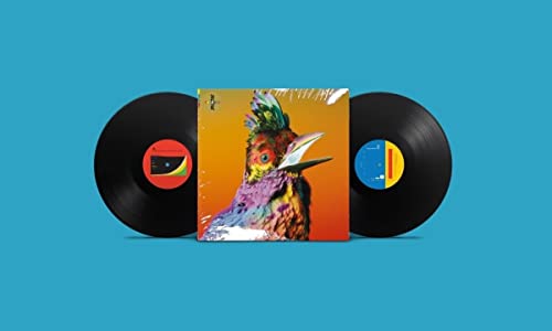 Flume's "Palaces" double vinyl record with colorful bird artwork.