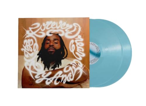 Vinyl record of Fly Anakin’s “Forever Dream” with portrait cover art.