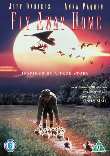 DVD cover for “Fly Away Home” featuring a boy and geese flying.
