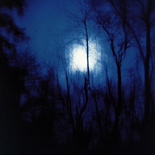 Dark blue image of trees silhouetted against a bright, hazy moon.