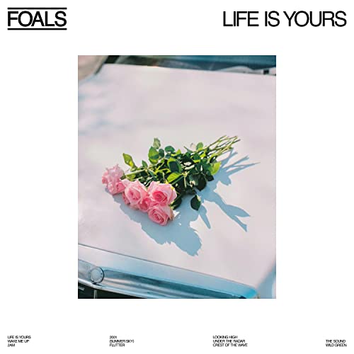 Foals album cover: pink roses on a car dashboard in sunlight.
