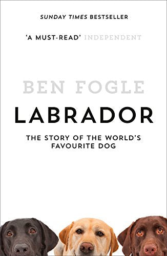 Book cover featuring three Labrador retrievers—black, yellow, and chocolate.