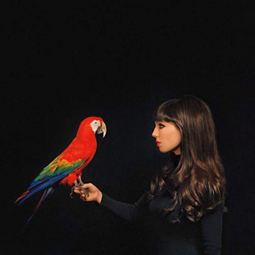 A woman in a black shirt holds a colorful parrot on her outstretched hand.