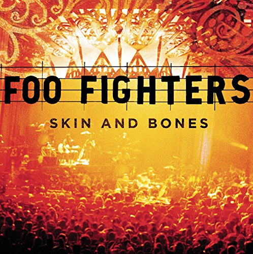 Foo Fighters “Skin And Bones” CD cover with a fiery orange and crowd scene.