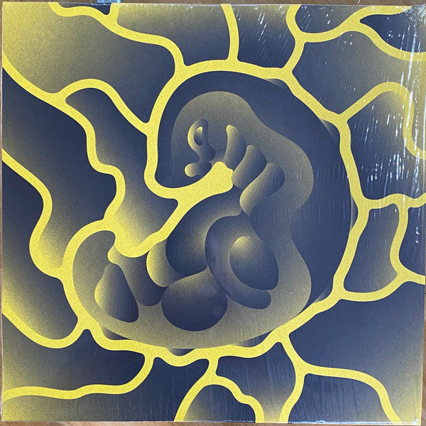 Vinyl record cover with abstract yellow and dark blue swirling design.