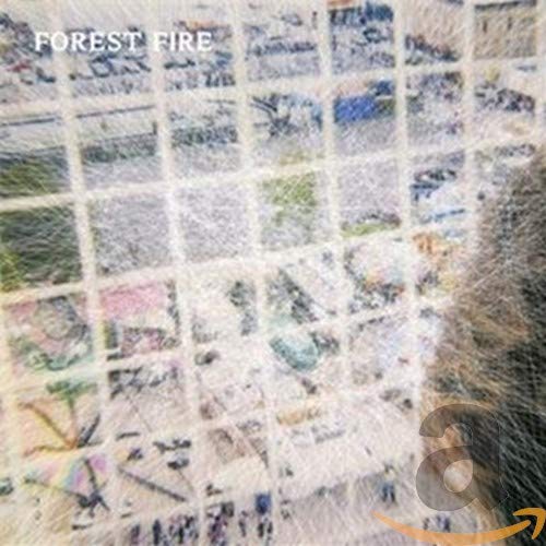 CD cover for “Forest Fire - Staring At The X” with grid pattern.