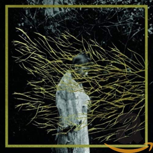 Dark album cover with a figure obscured by golden branches.