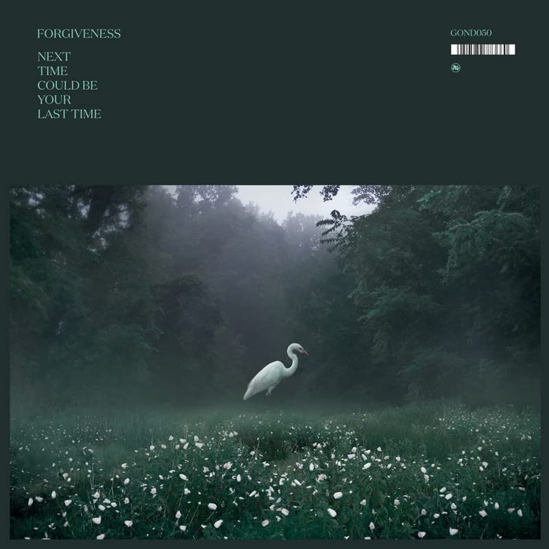 Dark, misty landscape with a white bird standing in a field of flowers.