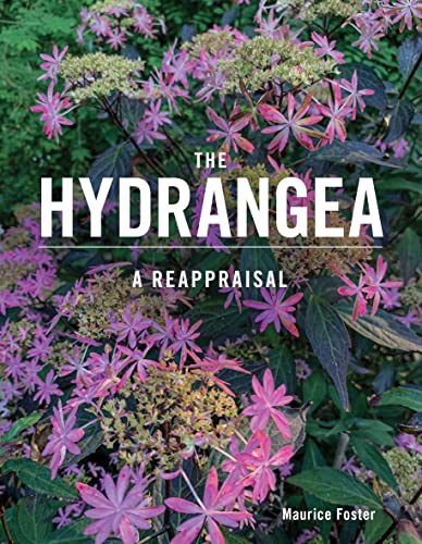 Book cover featuring pink hydrangea flowers and bold white text.