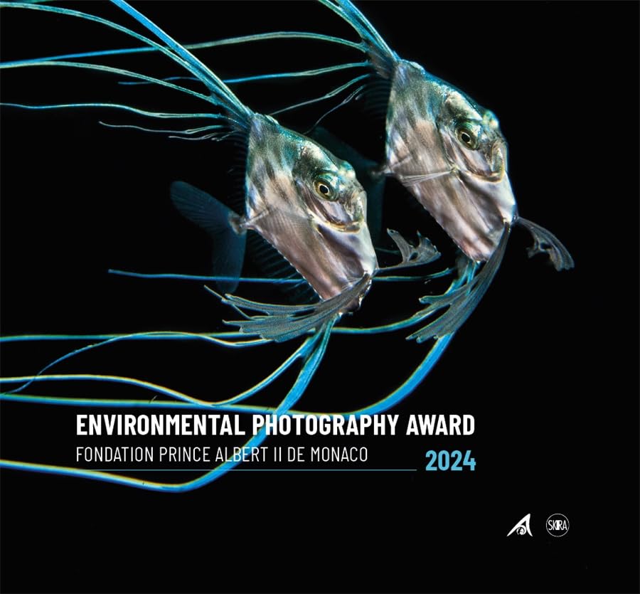 Two iridescent fish with long fins swim against a black background.