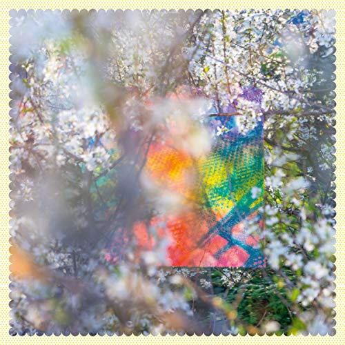 A colorful, textured square abstract painting viewed through out-of-focus white flowering tree branches.