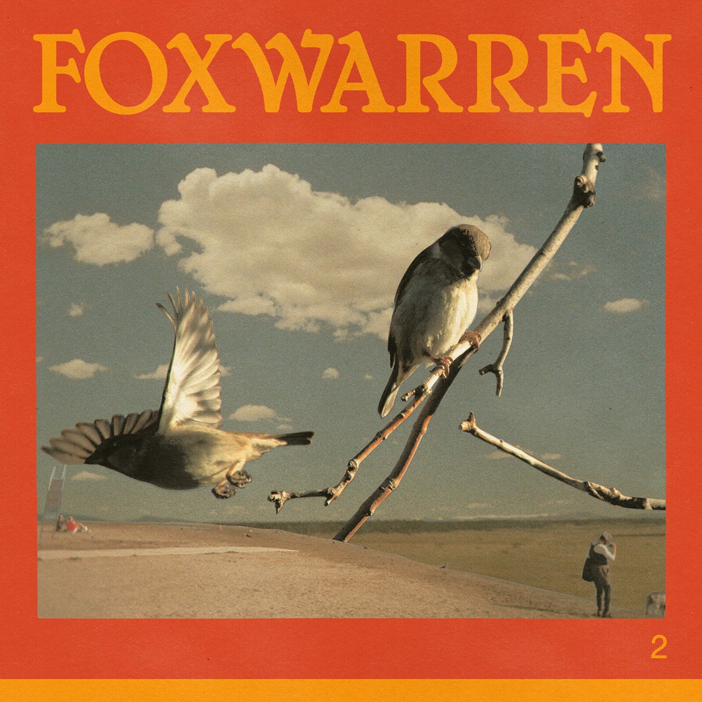 Album cover for Foxwarren - 2, featuring birds in a landscape.