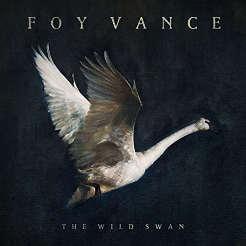 Album cover for Foy Vance’s “The Wild Swan” featuring a white swan in flight.
